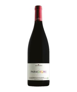 Alternative view of IGP Cévennes Rouge Paradigme, Vignerons de Saint Maurice