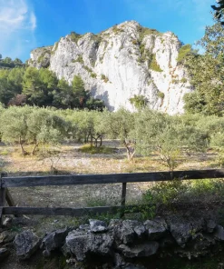 Alternative view of Guide Privé Cheval Blanc *** (2h)