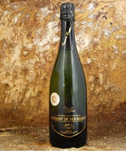Crémant de Bourgogne – Cave de Bissey Sous Cruchaud