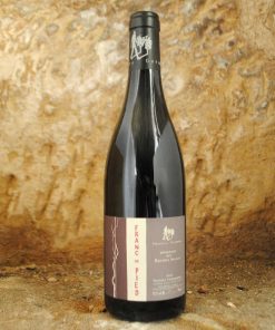 Alternative view of Saumur Champigny – Franc de Pied 2023 – Thierry Germain