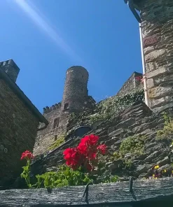 Alternative view of Visite Guidée Belcastel (2h)